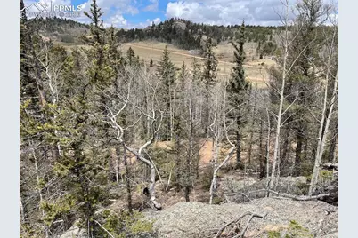 228 Alpine Drive, Florissant, CO 80816 - Photo 9