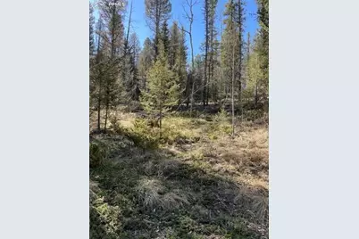 228 Alpine Drive, Florissant, CO 80816 - Photo 15