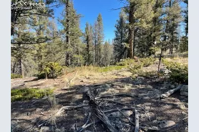 228 Alpine Drive, Florissant, CO 80816 - Photo 5