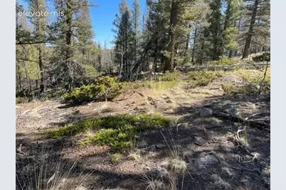 228 Alpine Drive, Florissant, CO 80816 - Photo 1