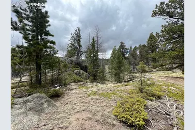 228 Alpine Drive, Florissant, CO 80816 - Photo 3