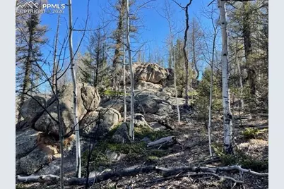 228 Alpine Drive, Florissant, CO 80816 - Photo 11