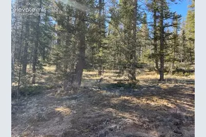 228 Alpine Drive, Florissant, CO 80816 - Photo 5