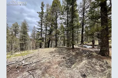 228 Alpine Drive, Florissant, CO 80816 - Photo 1