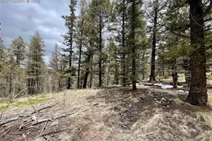 228 Alpine Dr, Florissant, CO 80816 - Photo 1