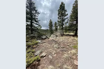228 Alpine Drive, Florissant, CO 80816 - Photo 17
