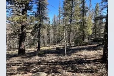 228 Alpine Drive, Florissant, CO 80816 - Photo 3