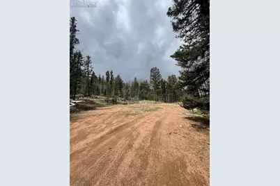 228 Alpine Drive, Florissant, CO 80816 - Photo 23