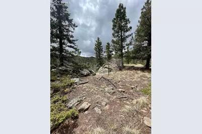 228 Alpine Drive, Florissant, CO 80816 - Photo 17