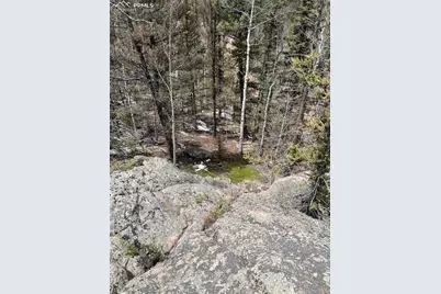 228 Alpine Drive, Florissant, CO 80816 - Photo 19