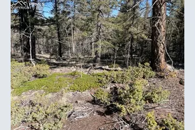 228 Alpine Drive, Florissant, CO 80816 - Photo 7