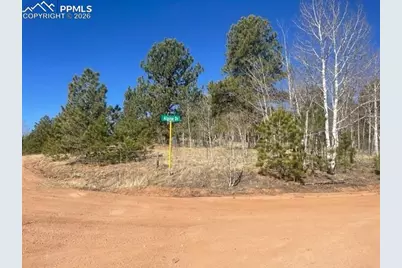 228 Alpine Drive, Florissant, CO 80816 - Photo 21