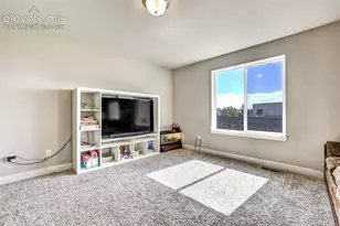 2971 Namib Dr, Colorado Springs, CO 80939 - Photo 9