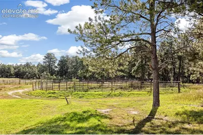 16685 Roller Coaster Road, Colorado Springs, CO 80921 - Photo 37
