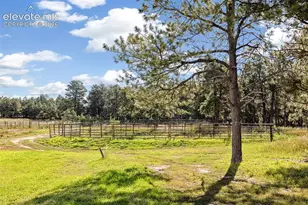 16685 Roller Coaster Rd, Colorado Springs, CO 80921 - Photo 37