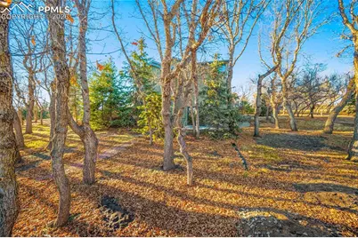 250 Wuthering Heights Drive, Colorado Springs, CO 80921 - Photo 43