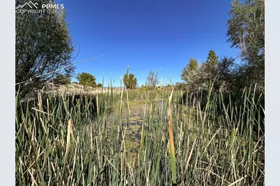 1785 County Road 120, Penrose, CO 81240 - Photo 27