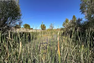 1785 County Rd 120, Penrose, CO 81240 - Photo 27