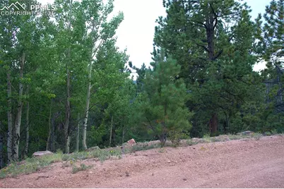 490 Grosbeak Circle, Divide, CO 80814 - Photo 3