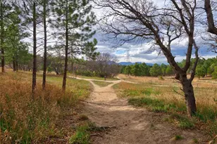 3465 Rebecca Ln, Colorado Springs, CO 80917 - Photo 31