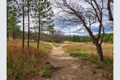 3465 Rebecca Lane #F, Colorado Springs, CO 80917 - Photo 35