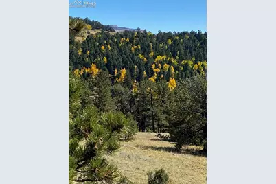 1652 Penrose Circle, Cripple Creek, CO 80813 - Photo 23