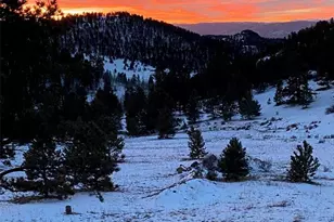 1652 Penrose Cir, Cripple Creek, CO 80813 - Photo 33