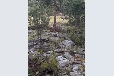 1652 Penrose Circle, Cripple Creek, CO 80813 - Photo 21