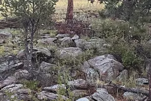 1652 Penrose Cir, Cripple Creek, CO 80813 - Photo 21