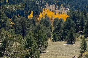 1652 Penrose Cir, Cripple Creek, CO 80813 - Photo 25