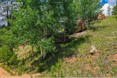 525 Spring Valley Lane, Florissant, CO 80816 - Photo 7