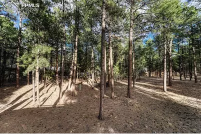 15435 Pleasant View Drive, Colorado Springs, CO 80921 - Photo 41