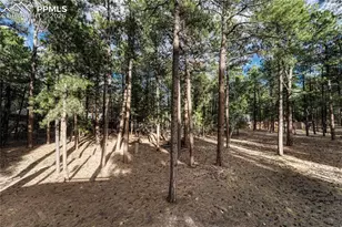 15435 Pleasant View Dr, Colorado Springs, CO 80921 - Photo 41