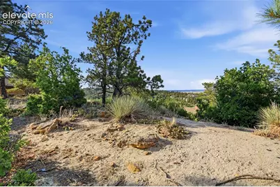 7335 Buckeye Court, Colorado Springs, CO 80918 - Photo 47