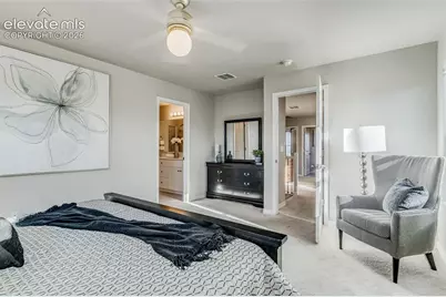 4608 Gneiss Loop, Colorado Springs, CO 80938 - Photo 19