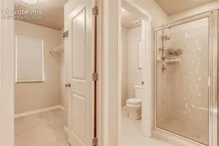 4608 Gneiss Loop, Colorado Springs, CO 80938 - Photo 21