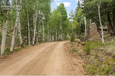 5853 W Highway 24, Divide, CO 80814 - Photo 7