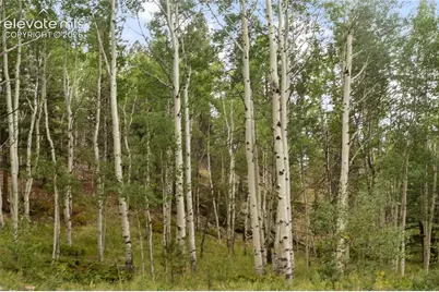 5853 W Highway 24, Divide, CO 80814 - Photo 49