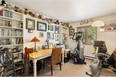 5853 W Highway 24, Divide, CO 80814 - Photo 37