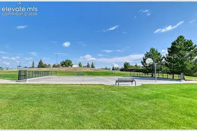 4233 Ashby Field Drive, Colorado Springs, CO 80922 - Photo 7