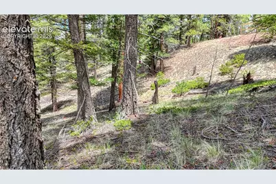 26 N Eldorado Circle, Florissant, CO 80816 - Photo 31