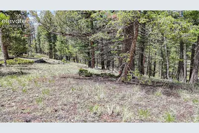 26 N Eldorado Circle, Florissant, CO 80816 - Photo 21