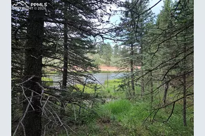 702 Lake Drive, Divide, CO 80814 - Photo 29