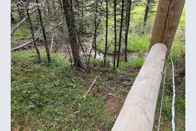 702 Lake Drive, Divide, CO 80814 - Photo 27