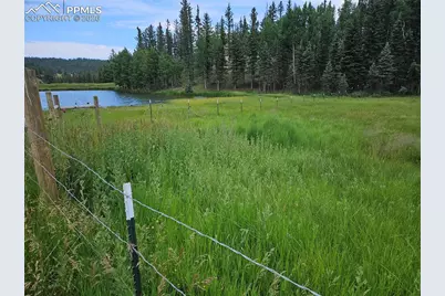 702 Lake Drive, Divide, CO 80814 - Photo 3