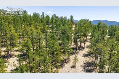 56 Dallas Park Circle, Florissant, CO 80816 - Photo 11