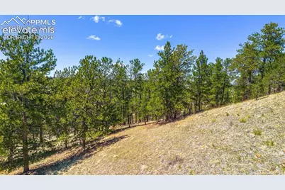 56 Dallas Park Circle, Florissant, CO 80816 - Photo 17