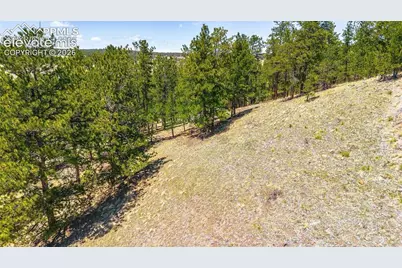 56 Dallas Park Circle, Florissant, CO 80816 - Photo 3