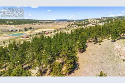 56 Dallas Park Circle, Florissant, CO 80816 - Photo 13