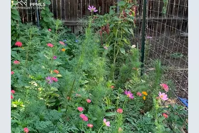 101 Trump Avenue, Colorado Springs, CO 80909 - Photo 39